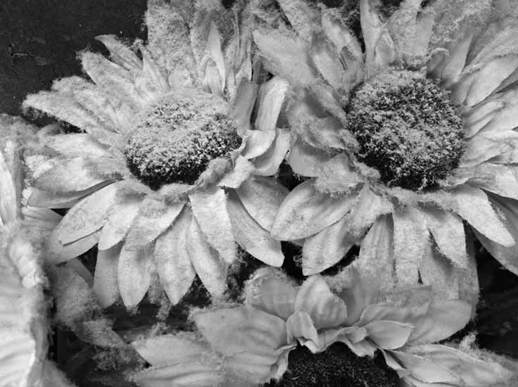 Dust Accumulation (+7 years)