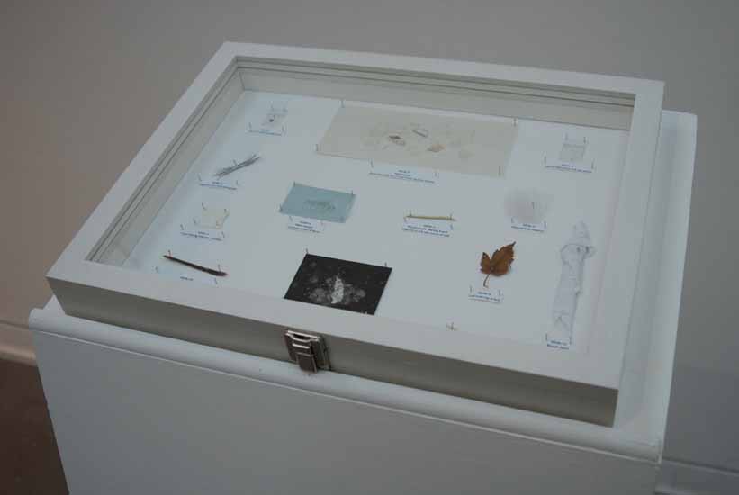 Les Petites Morts (The Little Deaths) Exhibits Case