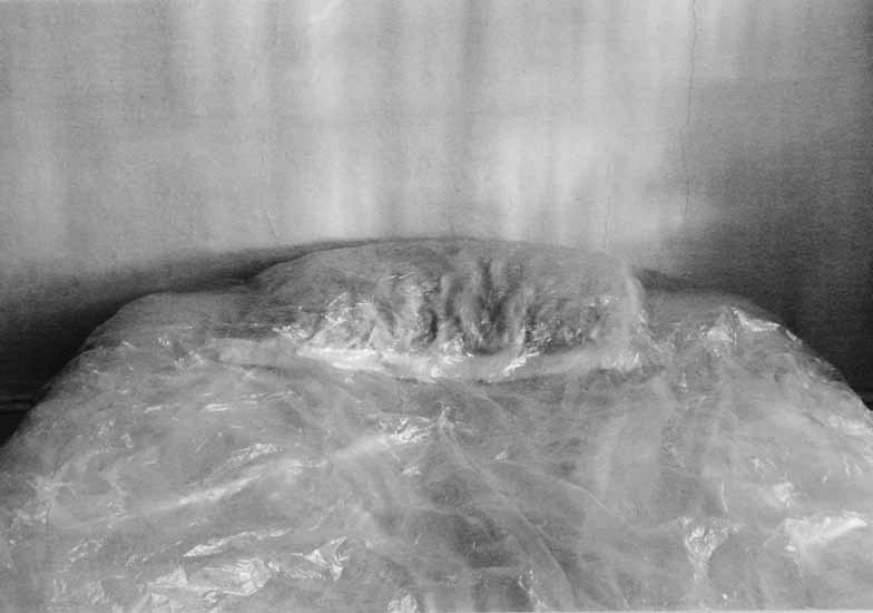 Les Petites Morts VII